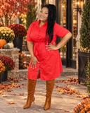 Olivia Shirt Dress