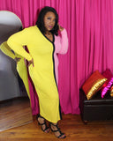 Dahlia ColorBlock Dress