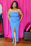 Envy Denim Dress